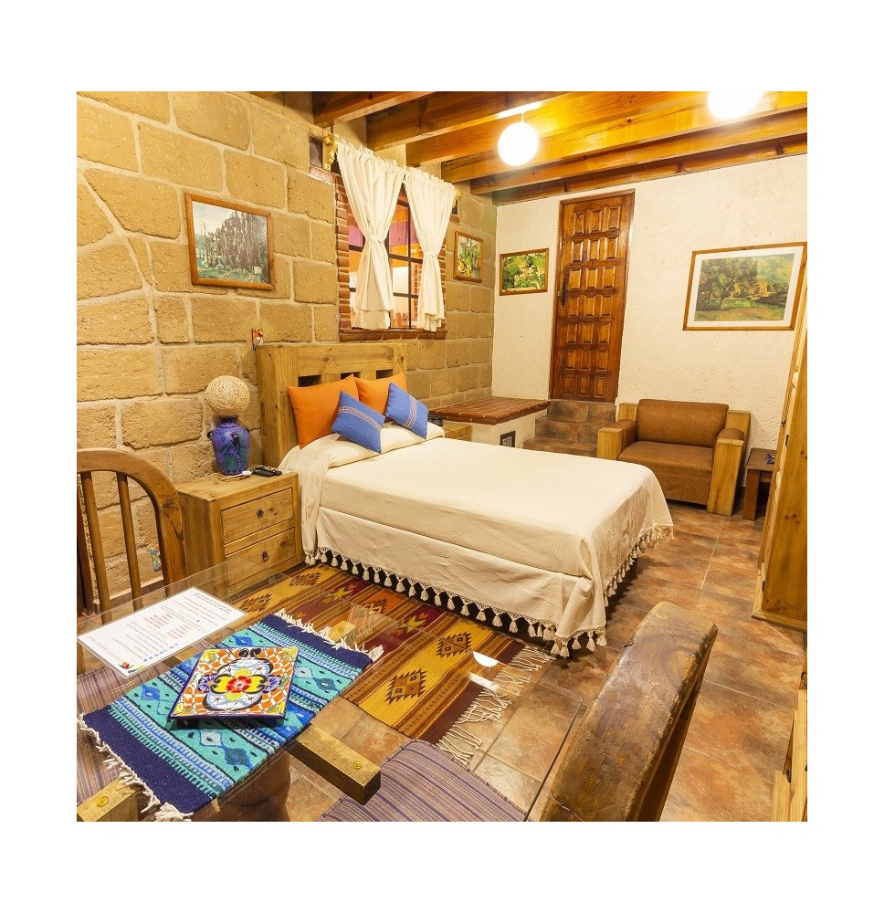 Casa Azul Bed and Breakfast Mexico City - Suite Cezanne